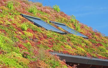 Ewloe living roof systems